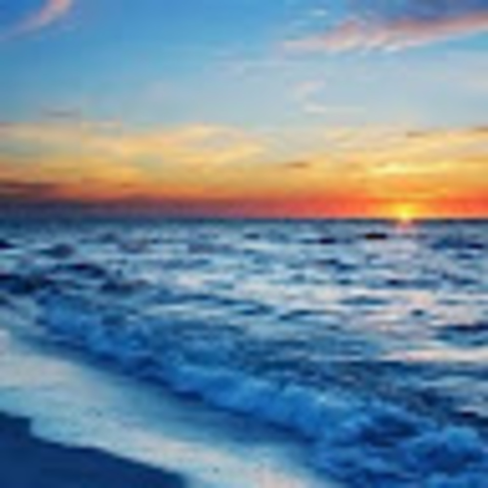 Meet your Posher, Kat